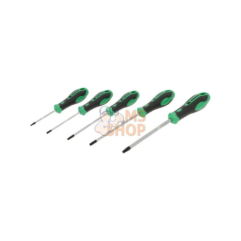 Jeu 5 tournevis Torx | KRAMP Jeu 5 tournevis Torx | KRAMPPR#564891 Jeu 5 tournevis Torx | KRAMP Jeu 5 tournevis Torx | KRAMPPR#564891
