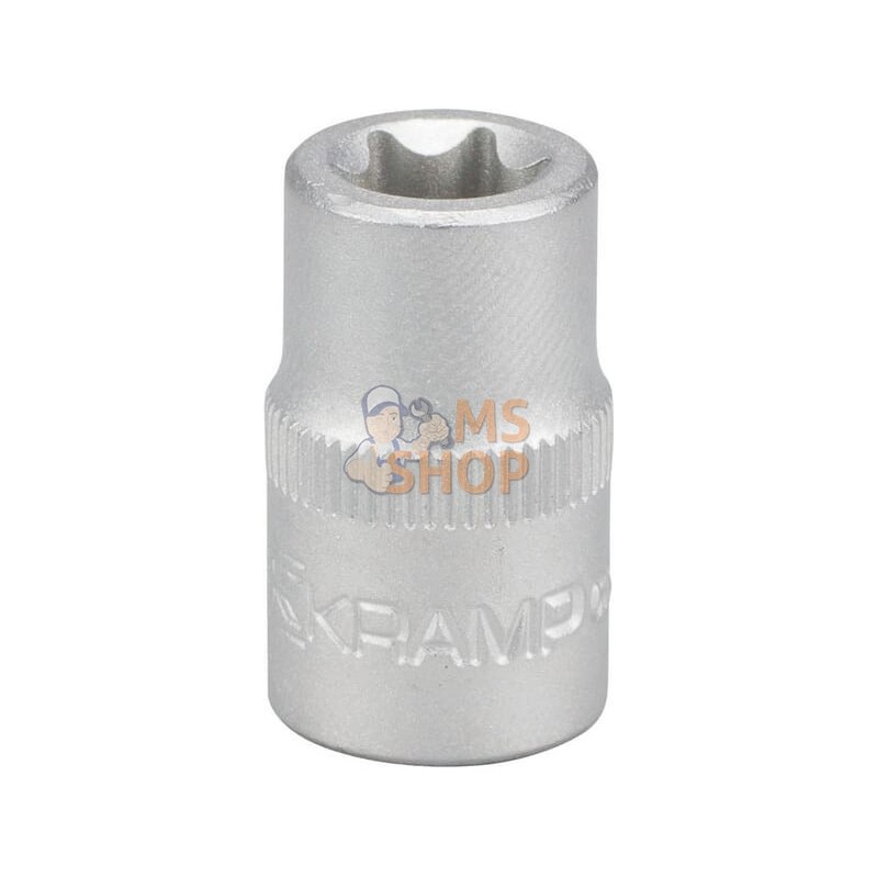 Douille 1/4"Torx E10 | KRAMP Douille 1/4"Torx E10 | KRAMPPR#566139 Douille 1/4"Torx E10 | KRAMP Douille 1/4"Torx E10 | KRAMPPR#566139