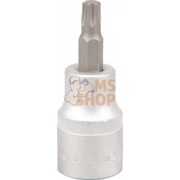 Douille 1/2"Torx TX 40 | KRAMP Douille 1/2"Torx TX 40 | KRAMPPR#565964