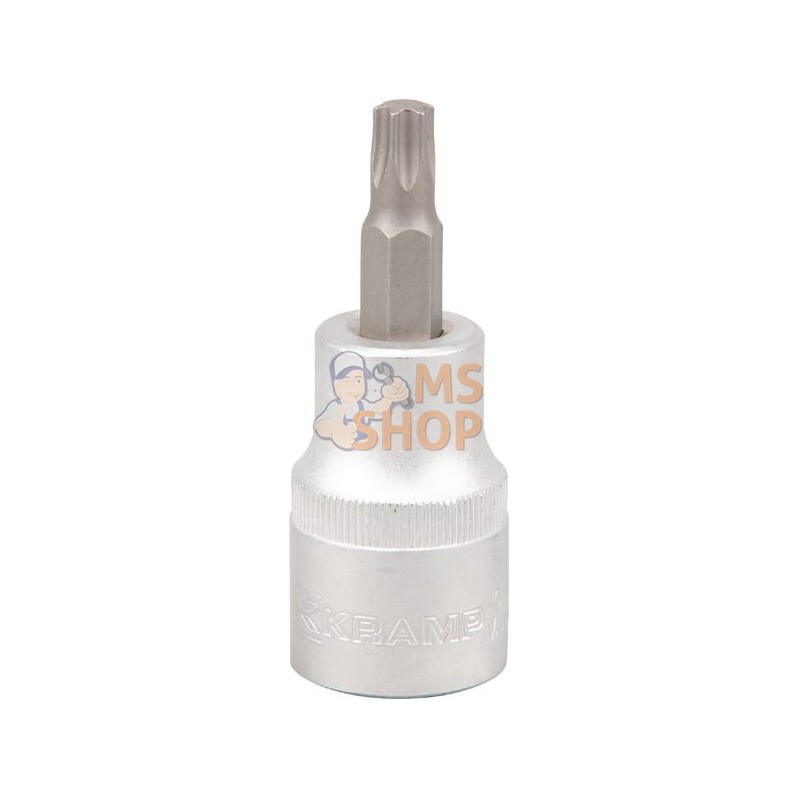 Douille 1/2"Torx TX 40 | KRAMP Douille 1/2"Torx TX 40 | KRAMPPR#565964 Douille 1/2"Torx TX 40 | KRAMP Douille 1/2"Torx TX 40 | KRAMPPR#565964