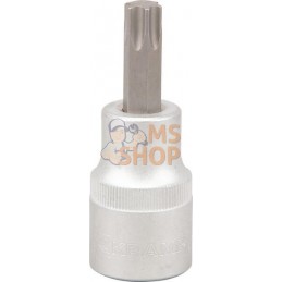Douille 1/2"Torx TX 50 | KRAMP Douille 1/2"Torx TX 50 | KRAMPPR#565967
