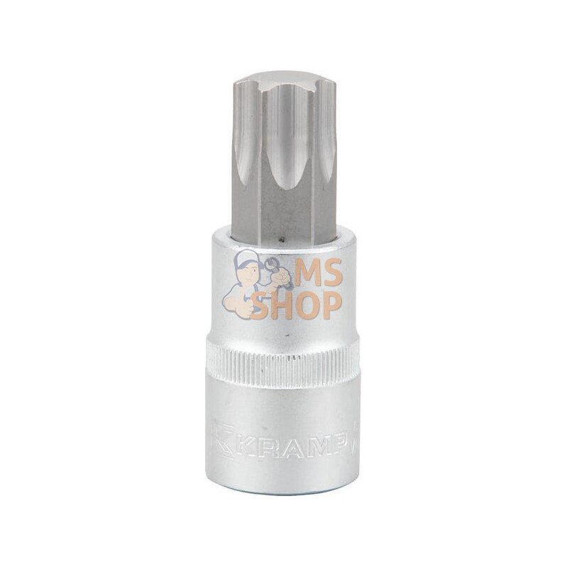Douille 1/2"Torx TX 70 | KRAMP Douille 1/2"Torx TX 70 | KRAMPPR#565813 Douille 1/2"Torx TX 70 | KRAMP Douille 1/2"Torx TX 70 | KRAMPPR#565813
