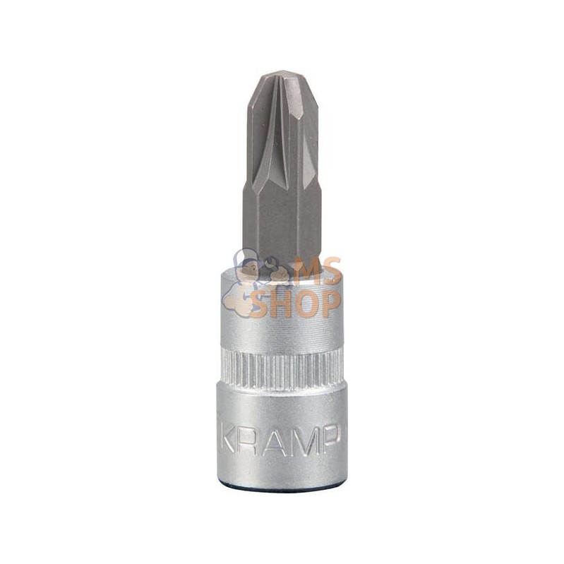 Douille de tournevis 1/4" PZ 3 | KRAMP Douille de tournevis 1/4" PZ 3 | KRAMPPR#566149
