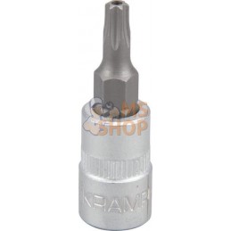 Douille de tournevis 1/4" Torx TX 20 | KRAMP Douille de tournevis 1/4" Torx TX 20 | KRAMPPR#566127