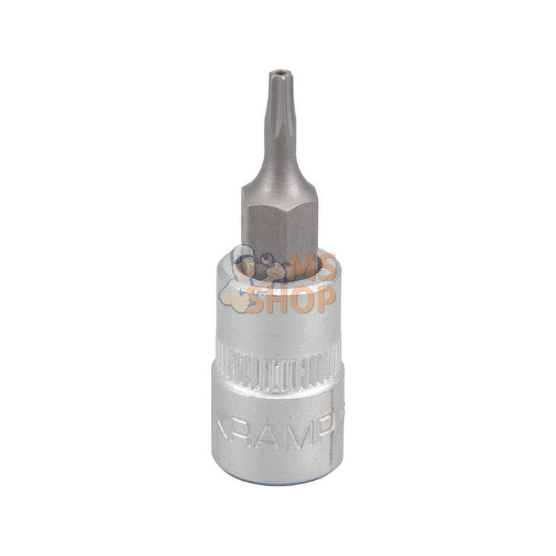 Douille de tournevis 1/4" Torx TX 8 | KRAMP Douille de tournevis 1/4" Torx TX 8 | KRAMPPR#566118 Douille de tournevis 1/4" Torx TX 8 | KRAMP Douille de tournevis 1/4" Torx TX 8 | KRAMPPR#566118