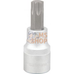 Douille 1/2"Torx TX 55 | KRAMP Douille 1/2"Torx TX 55 | KRAMPPR#565937