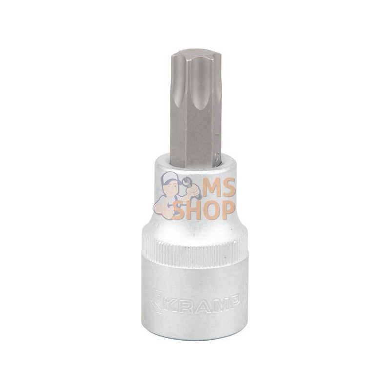 Douille 1/2"Torx TX 55 | KRAMP Douille 1/2"Torx TX 55 | KRAMPPR#565937 Douille 1/2"Torx TX 55 | KRAMP Douille 1/2"Torx TX 55 | KRAMPPR#565937