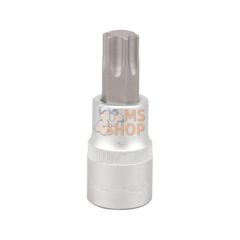 Douille 1/2"Torx TX 60 | KRAMP Douille 1/2"Torx TX 60 | KRAMPPR#565871 Douille 1/2"Torx TX 60 | KRAMP Douille 1/2"Torx TX 60 | KRAMPPR#565871