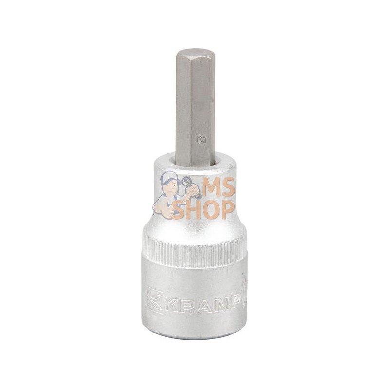 Douille de tournevis 1/2" Hex 8 mm | KRAMP Douille de tournevis 1/2" Hex 8 mm | KRAMPPR#565977 Douille de tournevis 1/2" Hex 8 mm | KRAMP Douille de tournevis 1/2" Hex 8 mm | KRAMPPR#565977