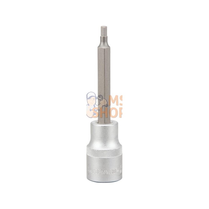 Douille de tournevis longue 1/2" Hex 4 mm | KRAMP Douille de tournevis longue 1/2" Hex 4 mm | KRAMPPR#565844 Douille de tournevis longue 1/2" Hex 4 mm | KRAMP Douille de tournevis longue 1/2" Hex 4 mm | KRAMPPR#565844