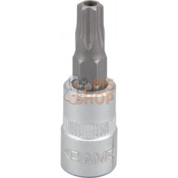 Douille de tournevis 1/4" Torx TX 30 | KRAMP Douille de tournevis 1/4" Torx TX 30 | KRAMPPR#566125