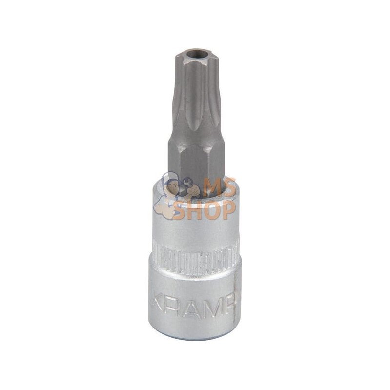 Douille de tournevis 1/4" Torx TX 30 | KRAMP Douille de tournevis 1/4" Torx TX 30 | KRAMPPR#566125 Douille de tournevis 1/4" Torx TX 30 | KRAMP Douille de tournevis 1/4" Torx TX 30 | KRAMPPR#566125