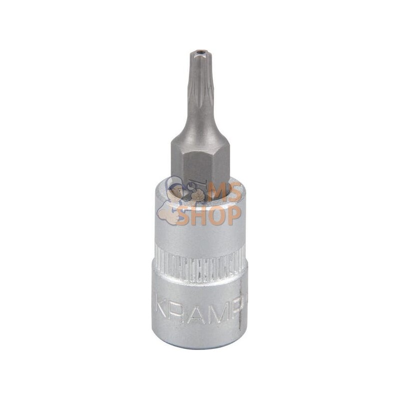 Douille de tournevis 1/4" Torx TX 10 | KRAMP Douille de tournevis 1/4" Torx TX 10 | KRAMPPR#566116 Douille de tournevis 1/4" Torx TX 10 | KRAMP Douille de tournevis 1/4" Torx TX 10 | KRAMPPR#566116