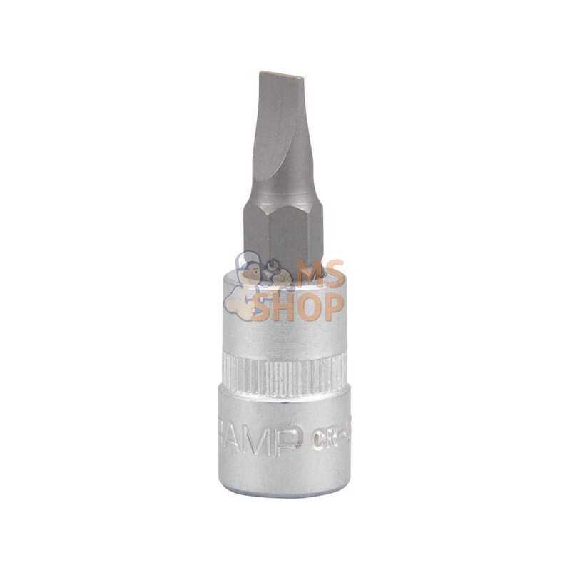 Douille de tournevis 1/4" 5,5mm | KRAMP Douille de tournevis 1/4" 5,5mm | KRAMPPR#566145 Douille de tournevis 1/4" 5,5mm | KRAMP Douille de tournevis 1/4" 5,5mm | KRAMPPR#566145