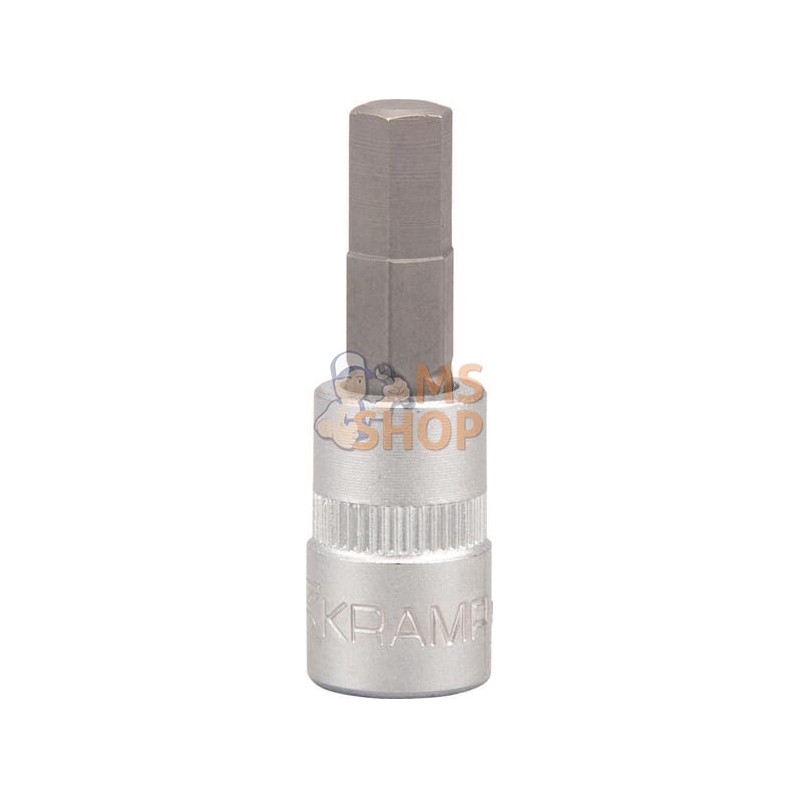 Douille de tournevis 1/4" Hex 7 mm | KRAMP Douille de tournevis 1/4" Hex 7 mm | KRAMPPR#565973 Douille de tournevis 1/4" Hex 7 mm | KRAMP Douille de tournevis 1/4" Hex 7 mm | KRAMPPR#565973