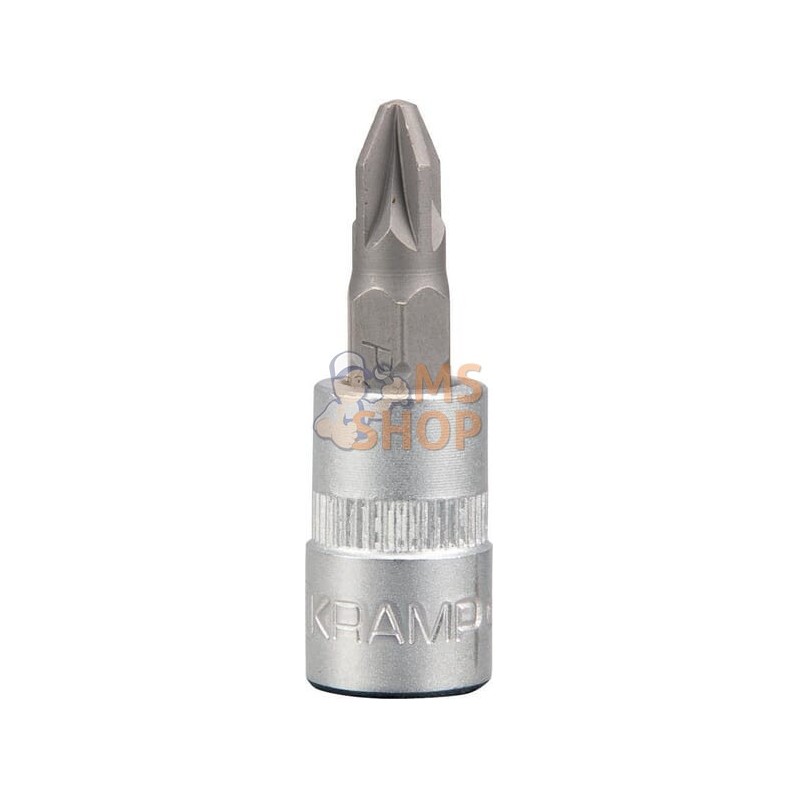 Douille de tournevis 1/4" PZ 2 | KRAMP Douille de tournevis 1/4" PZ 2 | KRAMPPR#566138 Douille de tournevis 1/4" PZ 2 | KRAMP Douille de tournevis 1/4" PZ 2 | KRAMPPR#566138