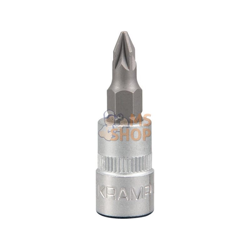 Douille de tournevis 1/4" PZ 1 | KRAMP Douille de tournevis 1/4" PZ 1 | KRAMPPR#566136 Douille de tournevis 1/4" PZ 1 | KRAMP Douille de tournevis 1/4" PZ 1 | KRAMPPR#566136