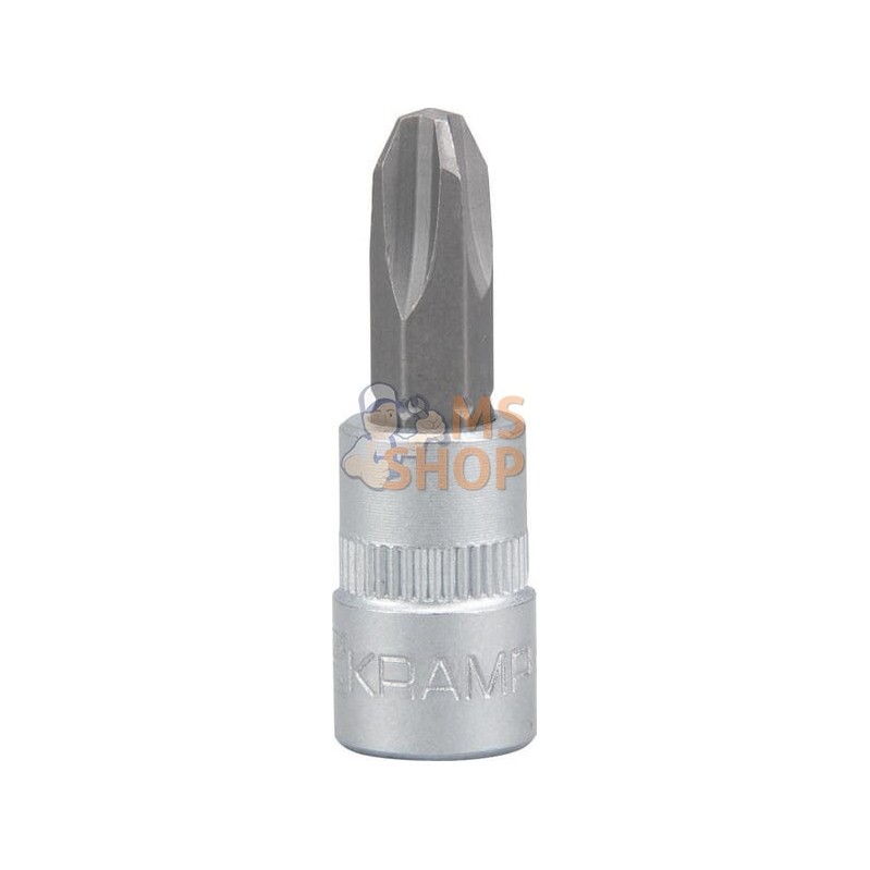 Douille de tournevis 1/4" PH 3 | KRAMP Douille de tournevis 1/4" PH 3 | KRAMPPR#566137 Douille de tournevis 1/4" PH 3 | KRAMP Douille de tournevis 1/4" PH 3 | KRAMPPR#566137