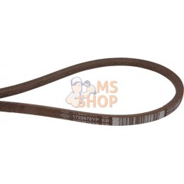 Courroie trapéz HA 60.24LG LE | SIMPLICITY - SNAPPER Courroie trapéz HA 60.24LG LE | SIMPLICITY - SNAPPERPR#336737