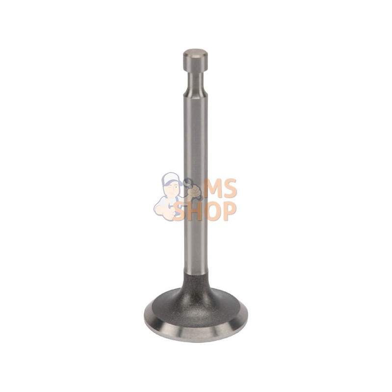 Valve, échappement | HONDA Valve, échappement | HONDAPR#214490