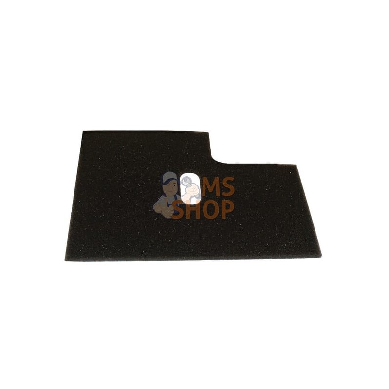 Pré filtre pour 17210-ZJ1-000 | HONDA Pré filtre pour 17210-ZJ1-000 | HONDAPR#35171 Pré filtre pour 17210-ZJ1-000 | HONDA Pré filtre pour 17210-ZJ1-000 | HONDAPR#35171