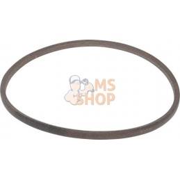 Courroie | MURRAY Courroie | MURRAYPR#905073