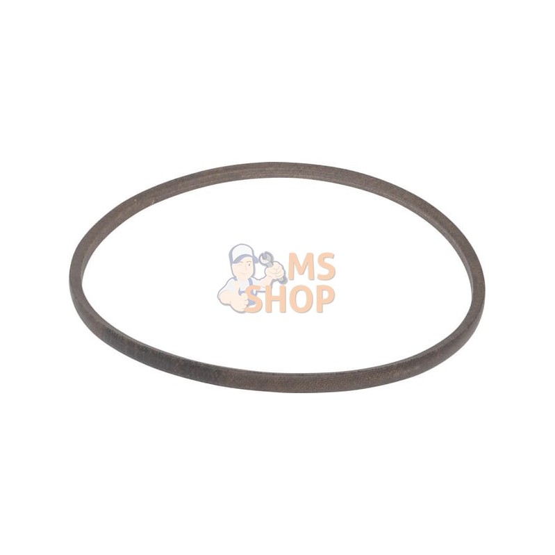 Courroie | MURRAY Courroie | MURRAYPR#905073