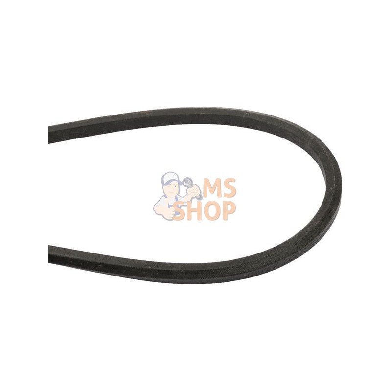 Courroie 3118 | MURRAY Courroie 3118 | MURRAYPR#905065