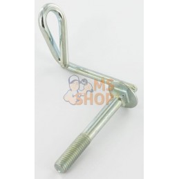 Oeillet | CASTELGARDEN Oeillet | CASTELGARDENPR#162611