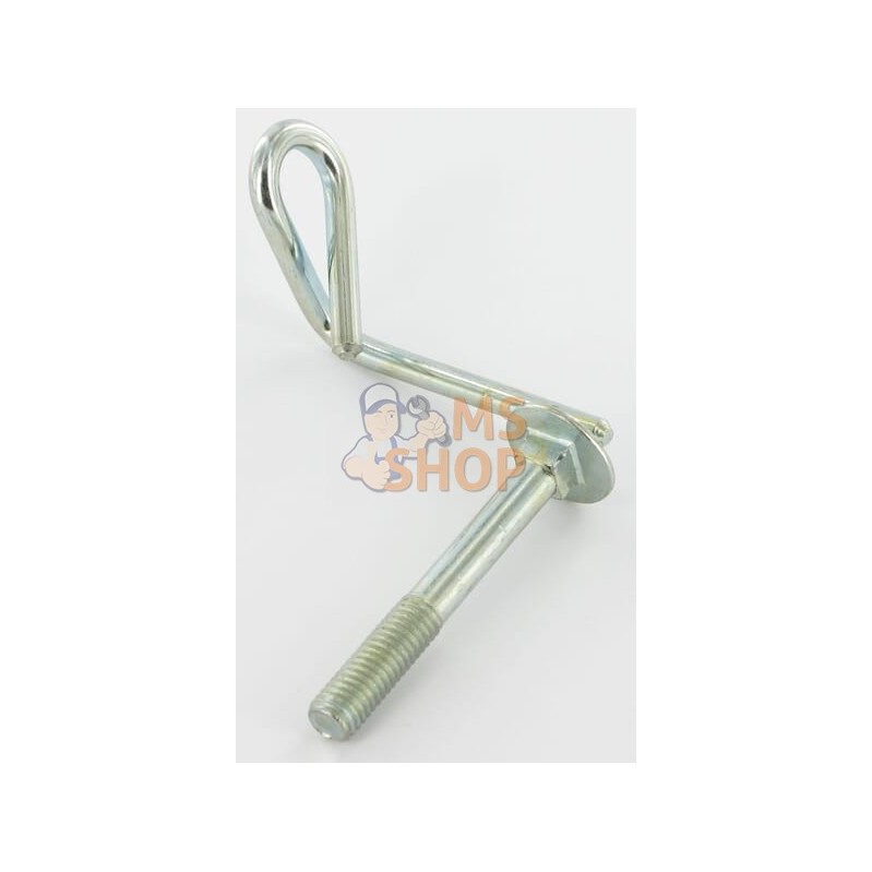 Oeillet | CASTELGARDEN Oeillet | CASTELGARDENPR#162611