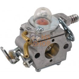 Carburateur WT718B | CASTELGARDEN Carburateur WT718B | CASTELGARDENPR#160811