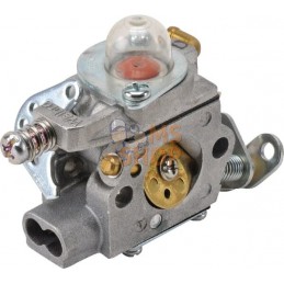 Carburateur WT718B | CASTELGARDEN Carburateur WT718B | CASTELGARDENPR#160811