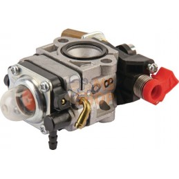 Carburateur WYJ-400A | CASTELGARDEN Carburateur WYJ-400A | CASTELGARDENPR#161956