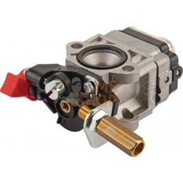 Carburateur WYJ-400A | CASTELGARDEN Carburateur WYJ-400A | CASTELGARDENPR#161956