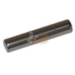 Goupille Ø 5.2 mm long 25.65 mm | CASTELGARDEN Goupille Ø 5.2 mm long 25.65 mm | CASTELGARDENPR#851527