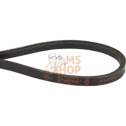 Courroie arbre SWS 800/600 | CASTELGARDEN Courroie arbre SWS 800/600 | CASTELGARDENPR#332371