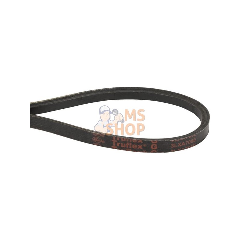 Courroie arbre SWS 800/600 | CASTELGARDEN Courroie arbre SWS 800/600 | CASTELGARDENPR#332371