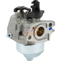 Carburateur | CASTELGARDEN Carburateur | CASTELGARDENPR#332550