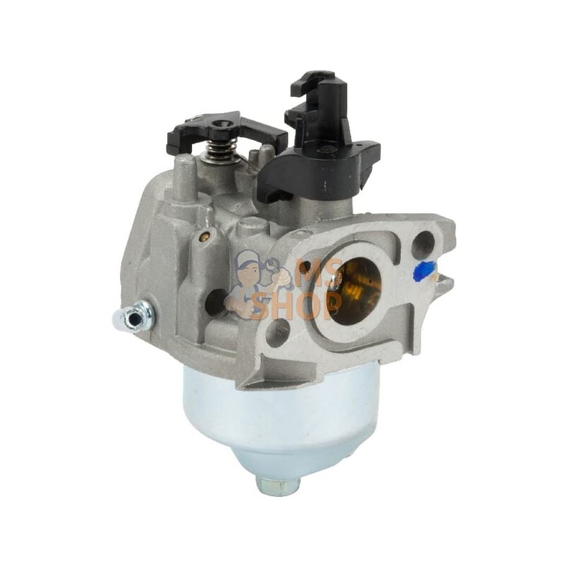 Carburateur | CASTELGARDEN Carburateur | CASTELGARDENPR#332550
