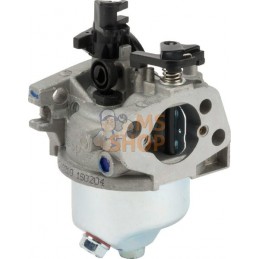 Carburateur | CASTELGARDEN Carburateur | CASTELGARDENPR#332550