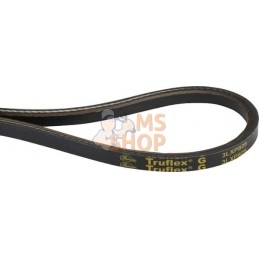 Courroie moteur SWS 600/800 | CASTELGARDEN Courroie moteur SWS 600/800 | CASTELGARDENPR#332505