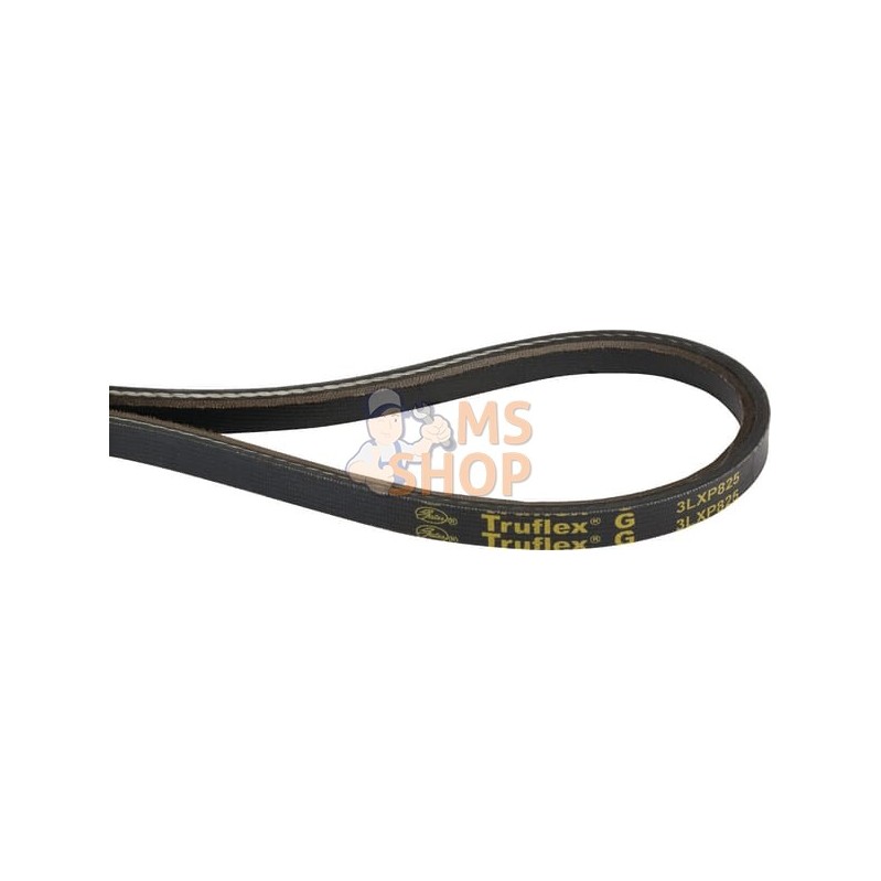 Courroie moteur SWS 600/800 | CASTELGARDEN Courroie moteur SWS 600/800 | CASTELGARDENPR#332505