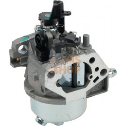 Carburateur | CASTELGARDEN Carburateur | CASTELGARDENPR#323314