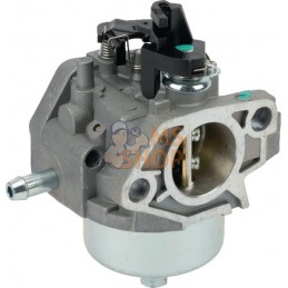 Carburateur | CASTELGARDEN Carburateur | CASTELGARDENPR#323314