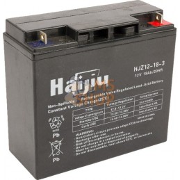 Batterie Fiam 12V/18Ah Stiga | CASTELGARDEN Batterie Fiam 12V/18Ah Stiga | CASTELGARDENPR#214294