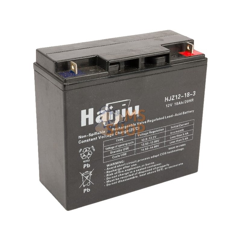 Batterie Fiam 12V/18Ah Stiga | CASTELGARDEN Batterie Fiam 12V/18Ah Stiga | CASTELGARDENPR#214294