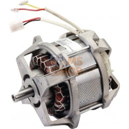 Moteur electrique 1500W | CASTELGARDEN Moteur electrique 1500W | CASTELGARDENPR#161764