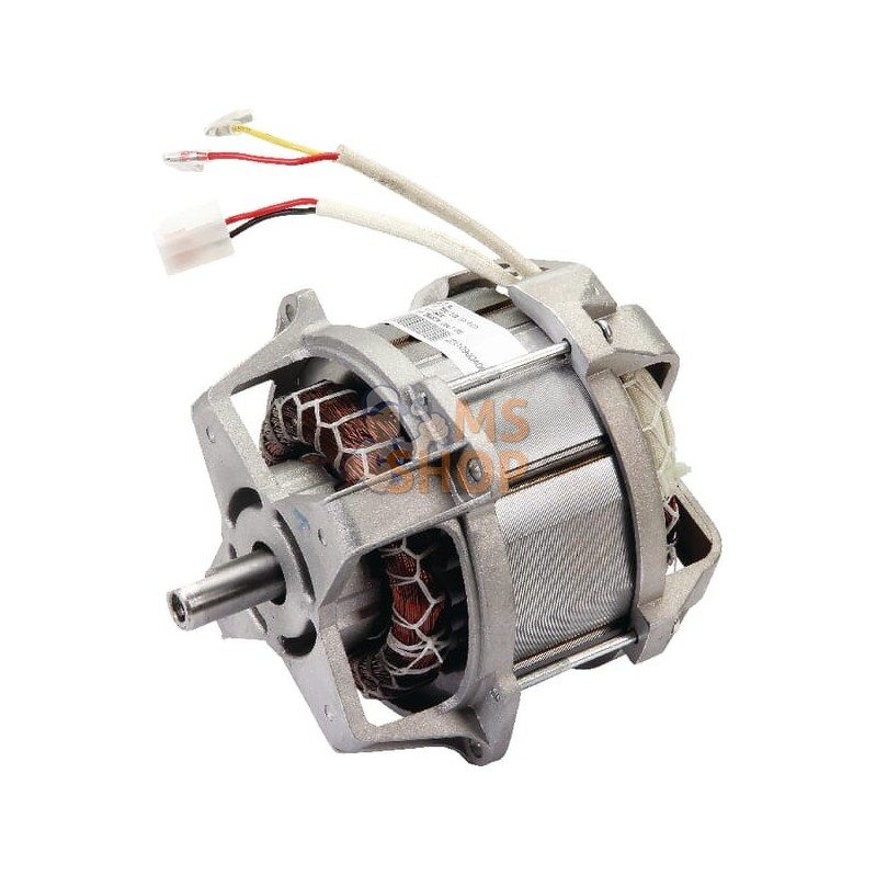 Moteur electrique 1500W | CASTELGARDEN Moteur electrique 1500W | CASTELGARDENPR#161764