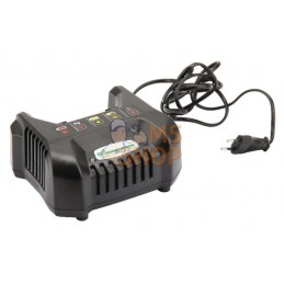 Chargeur batterie Combi 40AE | CASTELGARDEN Chargeur batterie Combi 40AE | CASTELGARDENPR#160046
