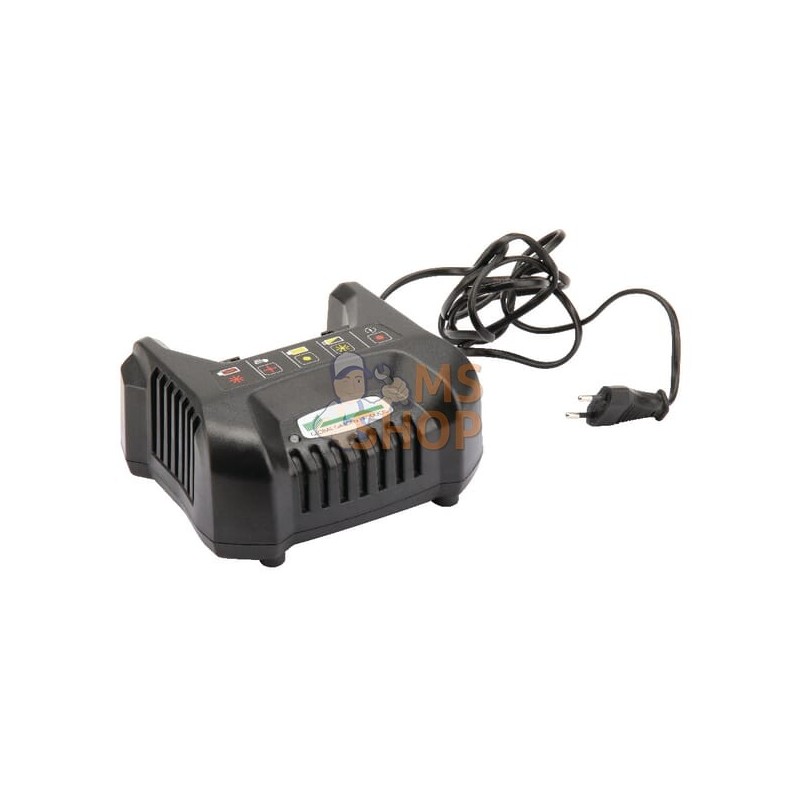 Chargeur batterie Combi 40AE | CASTELGARDEN Chargeur batterie Combi 40AE | CASTELGARDENPR#160046
